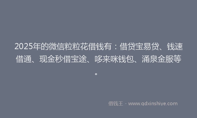2025年的微信粒粒花借钱有：借贷宝易贷、钱速借通、现金秒借宝途、哆来咪钱包、涌泉金服等。