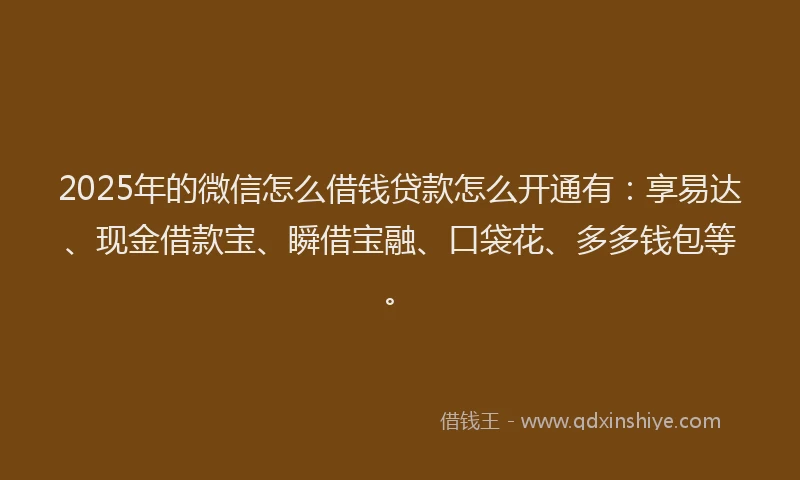 2025年的微信怎么借钱贷款怎么开通有：享易达、现金借款宝、瞬借宝融、口袋花、多多钱包等。