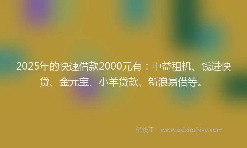2025年的快速借款2000元有：中益租机、钱进快贷、金元宝、小羊贷款、新浪易借等。