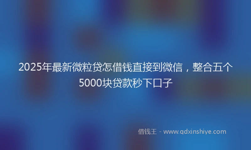 2025年最新微粒贷怎借钱直接到微信，整合五个5000块贷款秒下口子
