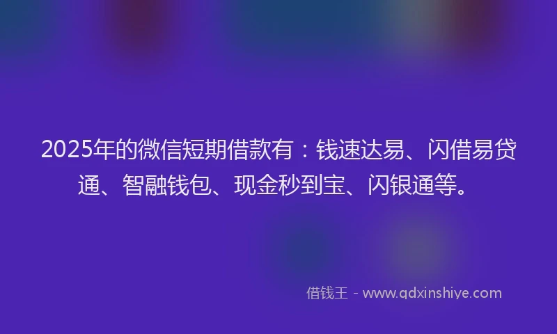 2025年的微信短期借款有：钱速达易、闪借易贷通、智融钱包、现金秒到宝、闪银通等。