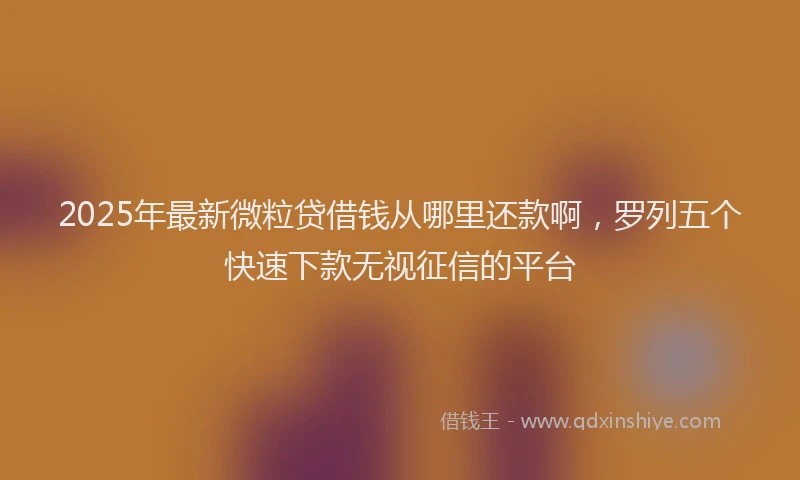 2025年最新微粒贷借钱从哪里还款啊，罗列五个快速下款无视征信的平台