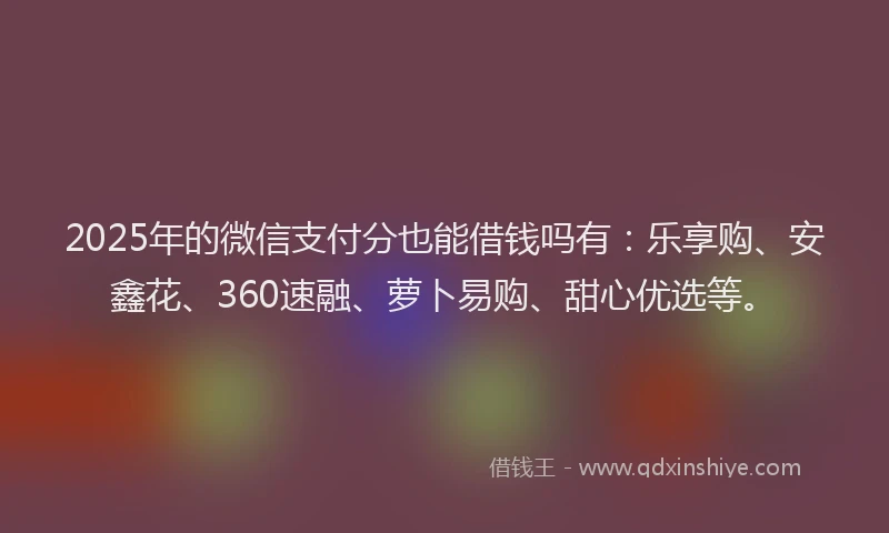 2025年的微信支付分也能借钱吗有：乐享购、安鑫花、360速融、萝卜易购、甜心优选等。