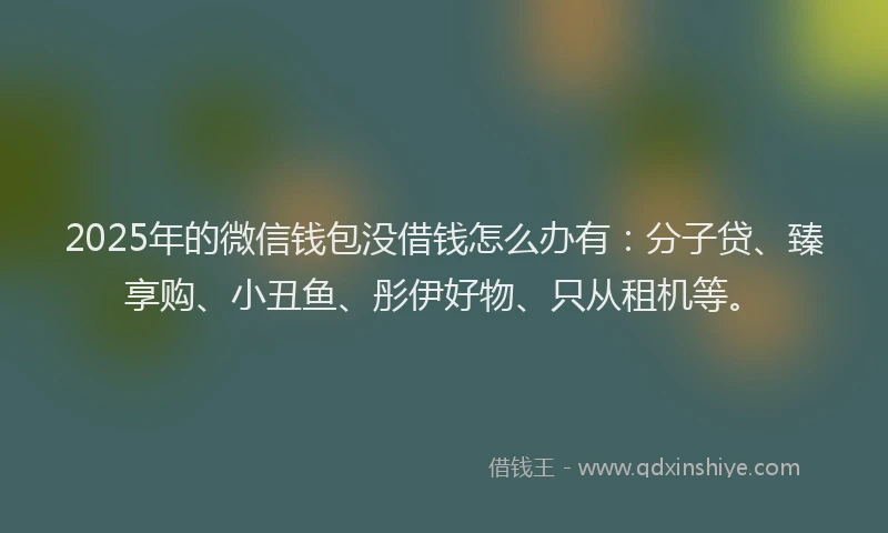 2025年的微信钱包没借钱怎么办有：分子贷、臻享购、小丑鱼、彤伊好物、只从租机等。