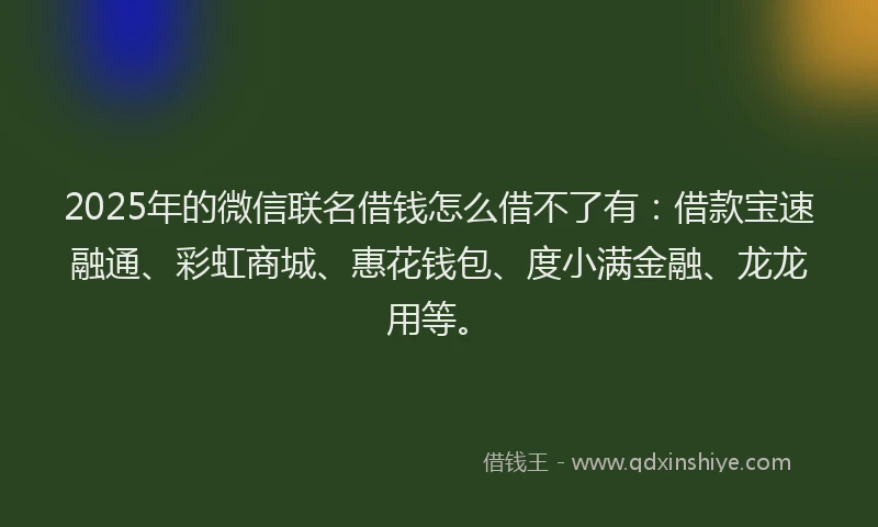 2025年的微信联名借钱怎么借不了有：借款宝速融通、彩虹商城、惠花钱包、度小满金融、龙龙用等。