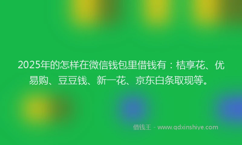 2025年的怎样在微信钱包里借钱有：桔享花、优易购、豆豆钱、新一花、京东白条取现等。