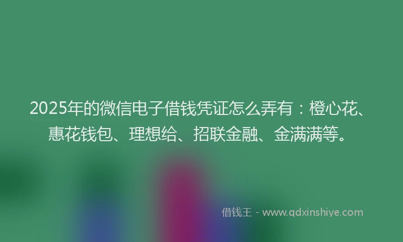 2025年的微信电子借钱凭证怎么弄有：橙心花、惠花钱包、理想给、招联金融、金满满等。
