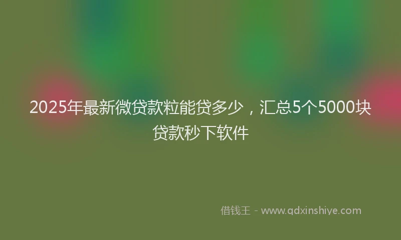 2025年最新微贷款粒能贷多少，汇总5个5000块贷款秒下软件