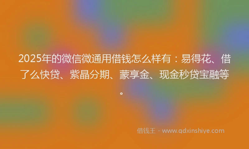2025年的微信微通用借钱怎么样有：易得花、借了么快贷、紫晶分期、蒙享金、现金秒贷宝融等。