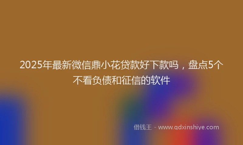 2025年最新微信鼎小花贷款好下款吗，盘点5个不看负债和征信的软件