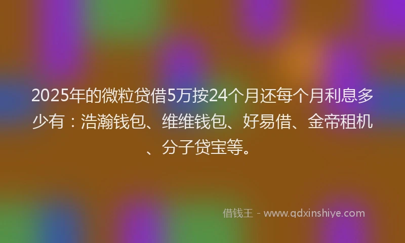 2025年的微粒贷借5万按24个月还每个月利息多少有：浩瀚钱包、维维钱包、好易借、金帝租机、分子贷宝等。