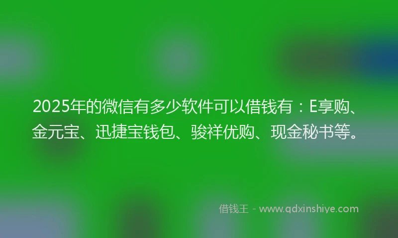 2025年的微信有多少软件可以借钱有：E享购、金元宝、迅捷宝钱包、骏祥优购、现金秘书等。