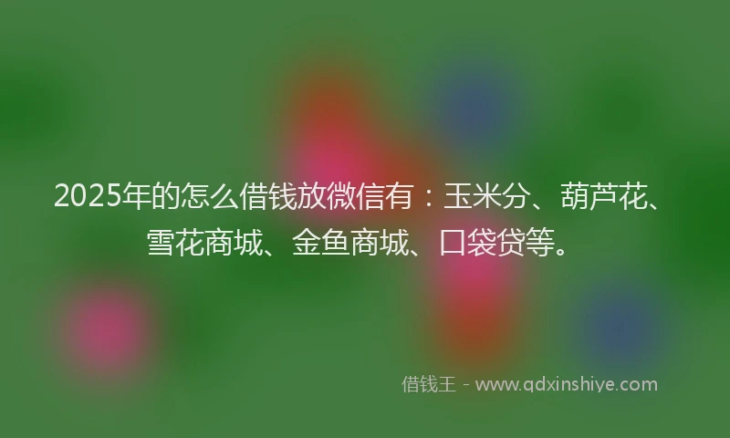 2025年的怎么借钱放微信有：玉米分、葫芦花、雪花商城、金鱼商城、口袋贷等。