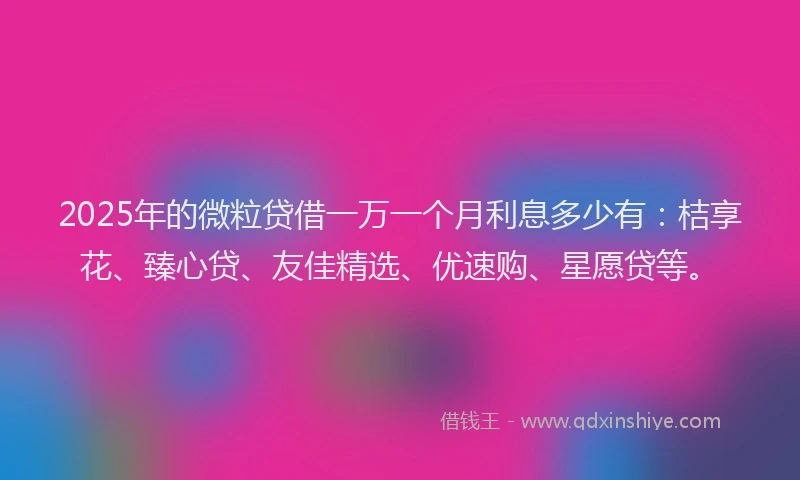 2025年的微粒贷借一万一个月利息多少有：桔享花、臻心贷、友佳精选、优速购、星愿贷等。