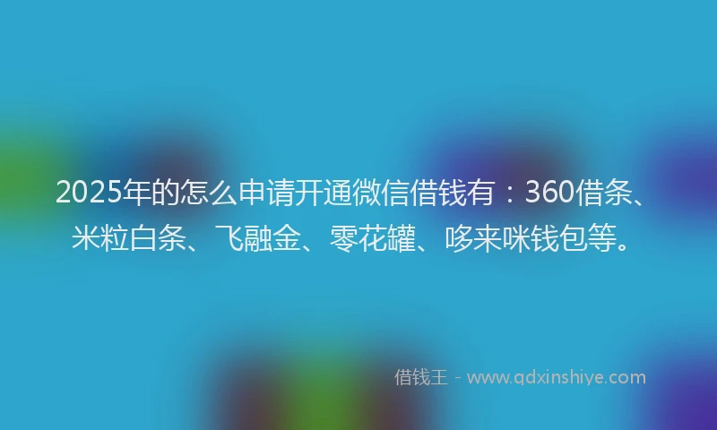2025年的怎么申请开通微信借钱有：360借条、米粒白条、飞融金、零花罐、哆来咪钱包等。