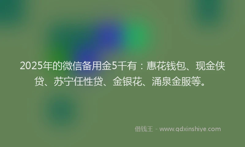 2025年的微信备用金5千有：惠花钱包、现金侠贷、苏宁任性贷、金银花、涌泉金服等。
