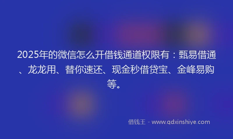 2025年的微信怎么开借钱通道权限有：甄易借通、龙龙用、替你速还、现金秒借贷宝、金峰易购等。