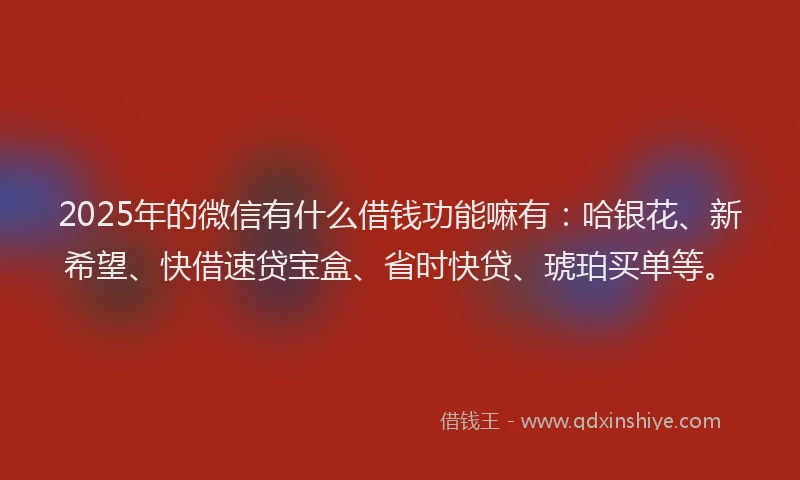2025年的微信有什么借钱功能嘛有：哈银花、新希望、快借速贷宝盒、省时快贷、琥珀买单等。