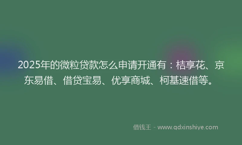 2025年的微粒贷款怎么申请开通有：桔享花、京东易借、借贷宝易、优享商城、柯基速借等。