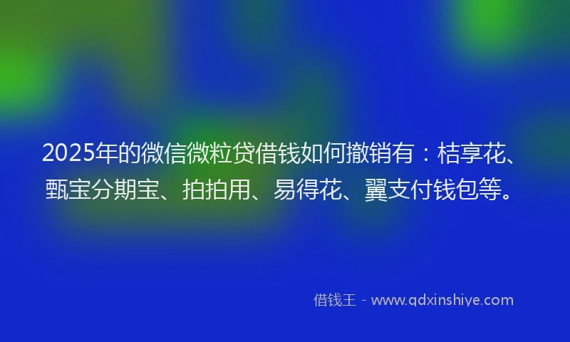 2025年的微信微粒贷借钱如何撤销有：桔享花、甄宝分期宝、拍拍用、易得花、翼支付钱包等。