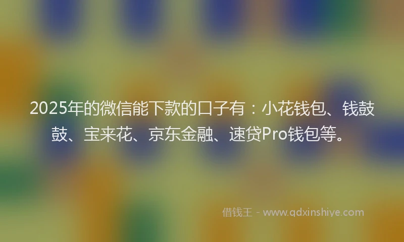 2025年的微信能下款的口子有：小花钱包、钱鼓鼓、宝来花、京东金融、速贷Pro钱包等。