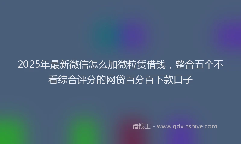 2025年最新微信怎么加微粒赁借钱，整合五个不看综合评分的网贷百分百下款口子