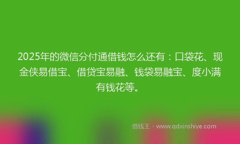 2025年的微信分付通借钱怎么还有：口袋花、现金侠易借宝、借贷宝易融、钱袋易融宝、度小满有钱花等。