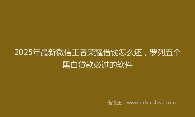 2025年最新微信王者荣耀借钱怎么还，罗列五个黑白贷款必过的软件