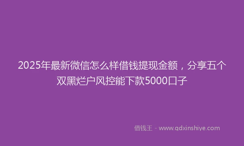 2025年最新微信怎么样借钱提现金额，分享五个双黑烂户风控能下款5000口子