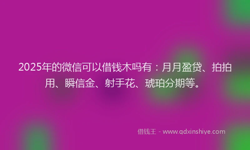 2025年的微信可以借钱木吗有：月月盈贷、拍拍用、瞬信金、射手花、琥珀分期等。
