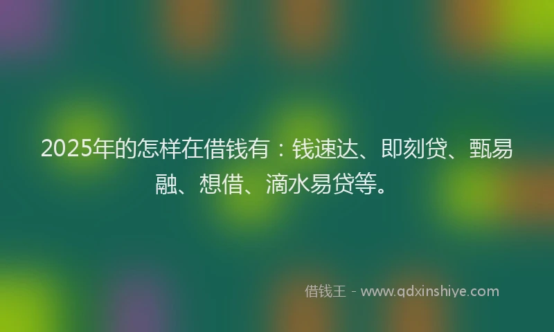 2025年的怎样在借钱有：钱速达、即刻贷、甄易融、想借、滴水易贷等。