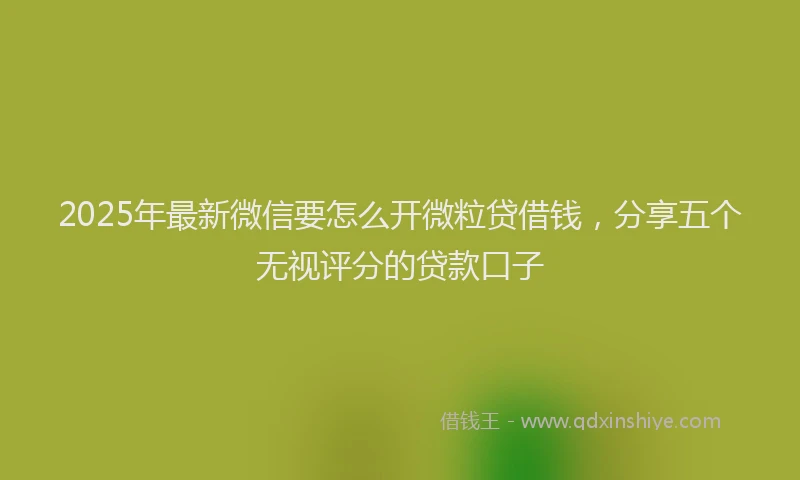2025年最新微信要怎么开微粒贷借钱，分享五个无视评分的贷款口子