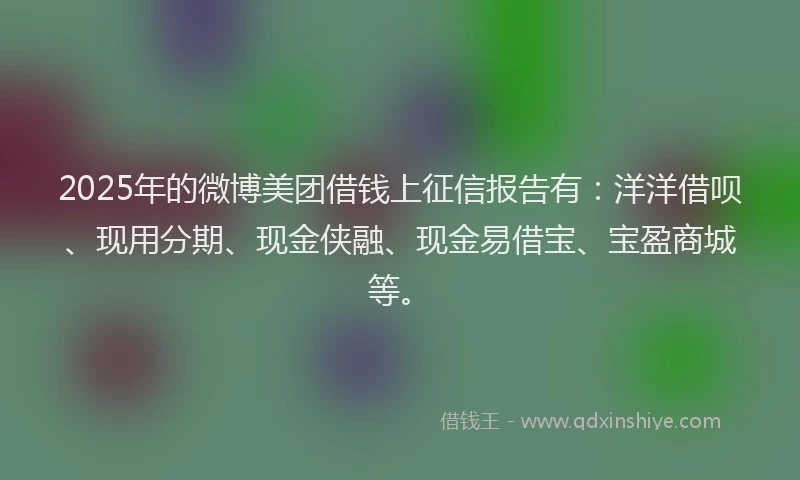 2025年的微博美团借钱上征信报告有：洋洋借呗、现用分期、现金侠融、现金易借宝、宝盈商城等。