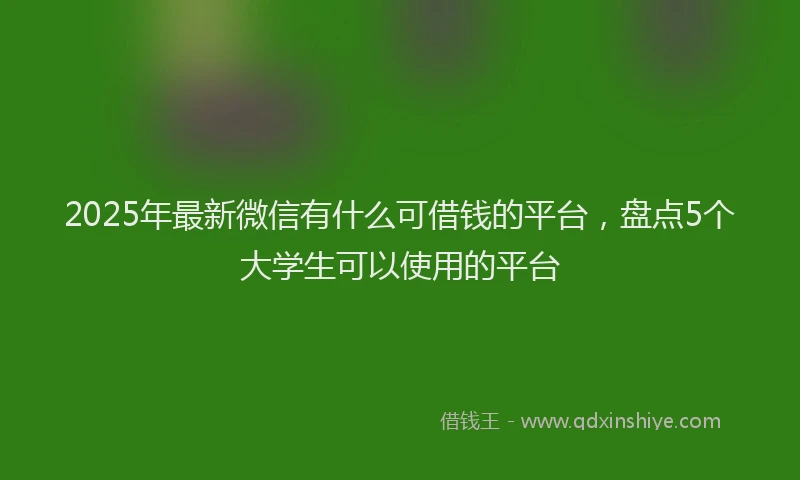 2025年最新微信有什么可借钱的平台，盘点5个大学生可以使用的平台