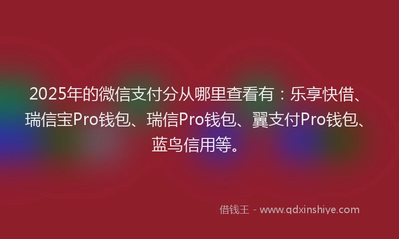2025年的微信支付分从哪里查看有：乐享快借、瑞信宝Pro钱包、瑞信Pro钱包、翼支付Pro钱包、蓝鸟信用等。