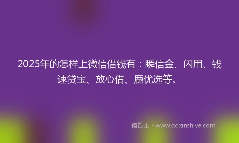2025年的怎样上微信借钱有：瞬信金、闪用、钱速贷宝、放心借、鹿优选等。
