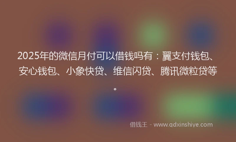 2025年的微信月付可以借钱吗有：翼支付钱包、安心钱包、小象快贷、维信闪贷、腾讯微粒贷等。