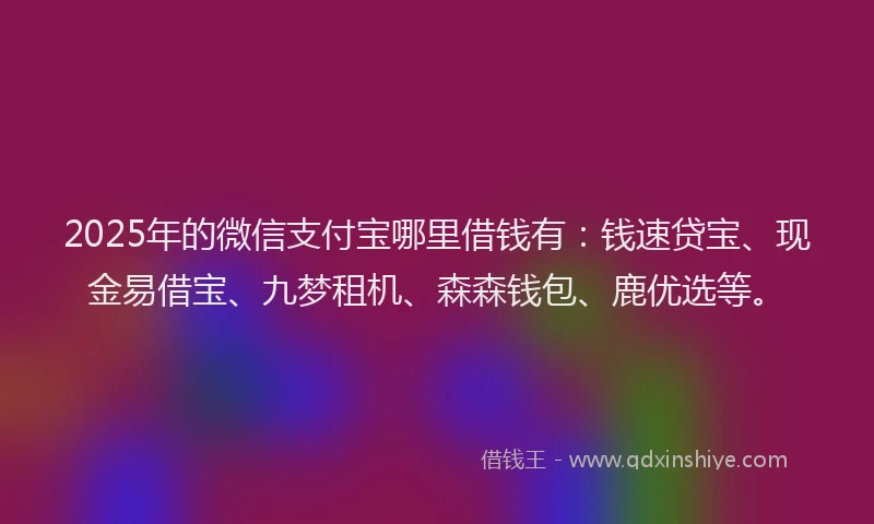 2025年的微信支付宝哪里借钱有：钱速贷宝、现金易借宝、九梦租机、森森钱包、鹿优选等。