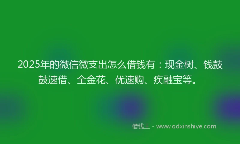 2025年的微信微支出怎么借钱有：现金树、钱鼓鼓速借、全金花、优速购、疾融宝等。