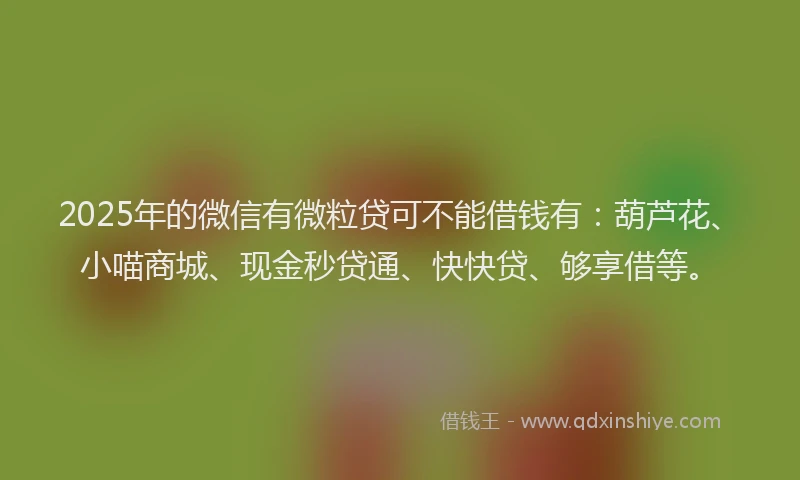 2025年的微信有微粒贷可不能借钱有：葫芦花、小喵商城、现金秒贷通、快快贷、够享借等。