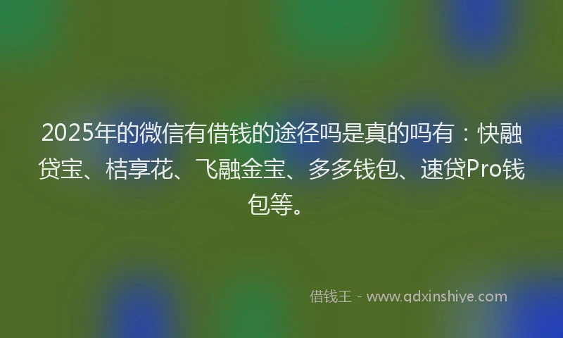 2025年的微信有借钱的途径吗是真的吗有：快融贷宝、桔享花、飞融金宝、多多钱包、速贷Pro钱包等。