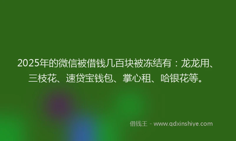 2025年的微信被借钱几百块被冻结有：龙龙用、三枝花、速贷宝钱包、掌心租、哈银花等。