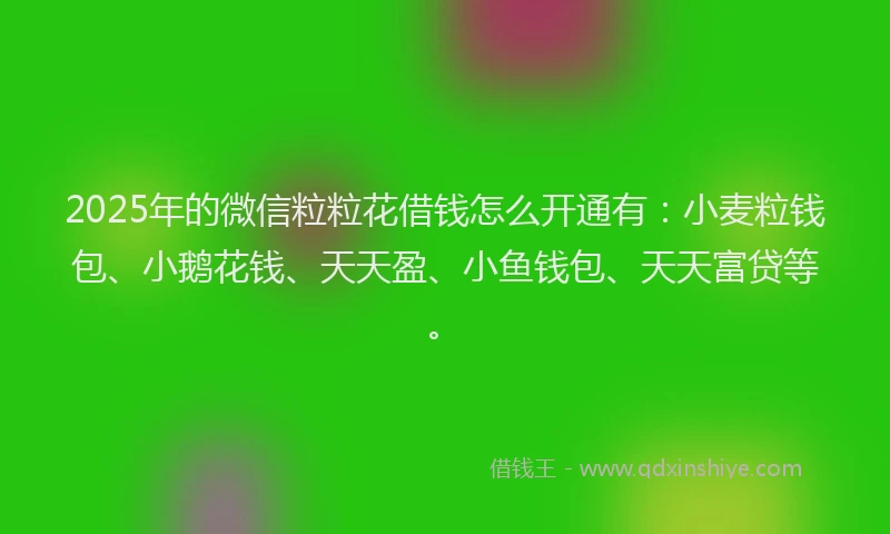 2025年的微信粒粒花借钱怎么开通有：小麦粒钱包、小鹅花钱、天天盈、小鱼钱包、天天富贷等。