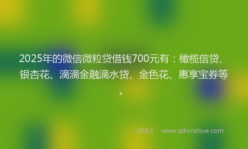 2025年的微信微粒贷借钱700元有：橄榄信贷、银杏花、滴滴金融滴水贷、金色花、惠享宝券等。