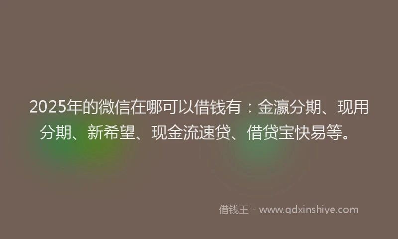2025年的微信在哪可以借钱有：金瀛分期、现用分期、新希望、现金流速贷、借贷宝快易等。