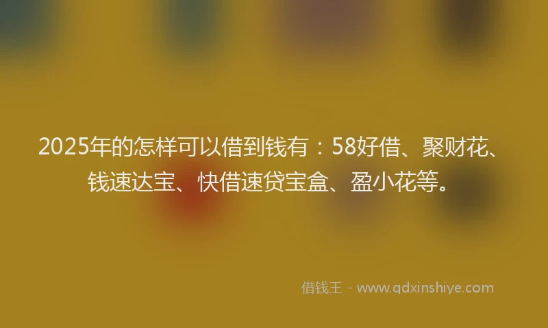 2025年的怎样可以借到钱有：58好借、聚财花、钱速达宝、快借速贷宝盒、盈小花等。