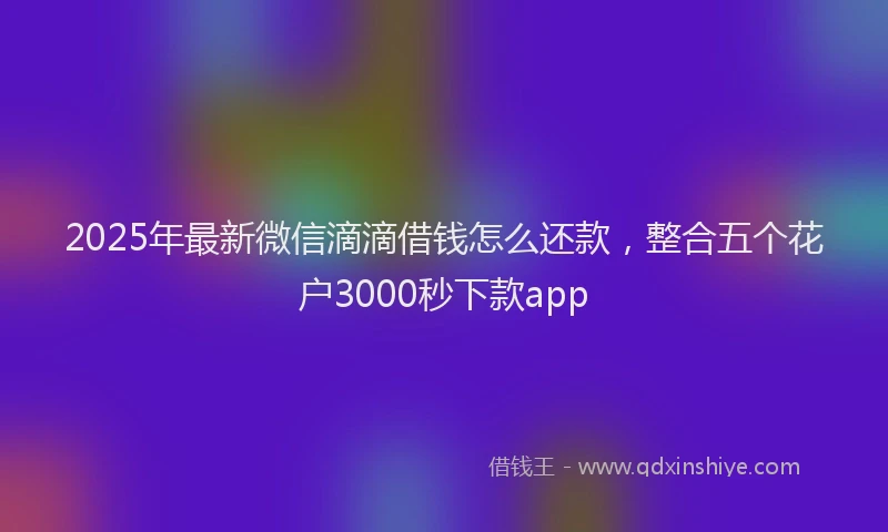 2025年最新微信滴滴借钱怎么还款，整合五个花户3000秒下款app