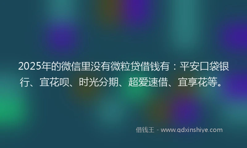 2025年的微信里没有微粒贷借钱有：平安口袋银行、宜花呗、时光分期、超爱速借、宜享花等。