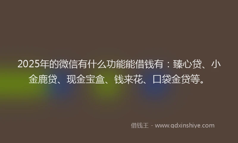 2025年的微信有什么功能能借钱有：臻心贷、小金鹿贷、现金宝盒、钱来花、口袋金贷等。