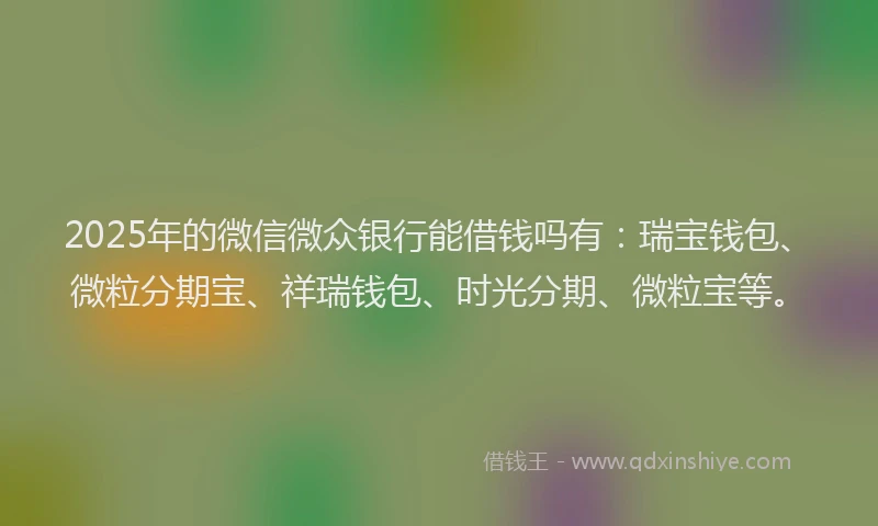 2025年的微信微众银行能借钱吗有：瑞宝钱包、微粒分期宝、祥瑞钱包、时光分期、微粒宝等。